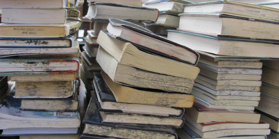 Why Library Books Get Damaged—and How to Prevent It